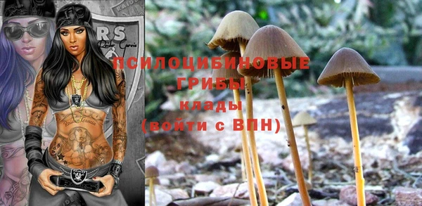 ешки Каменка