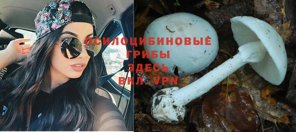 jwh Каменногорск