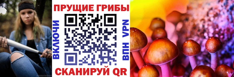 Псилоцибиновые грибы Psilocybe  Купить закладки  Кондрово 